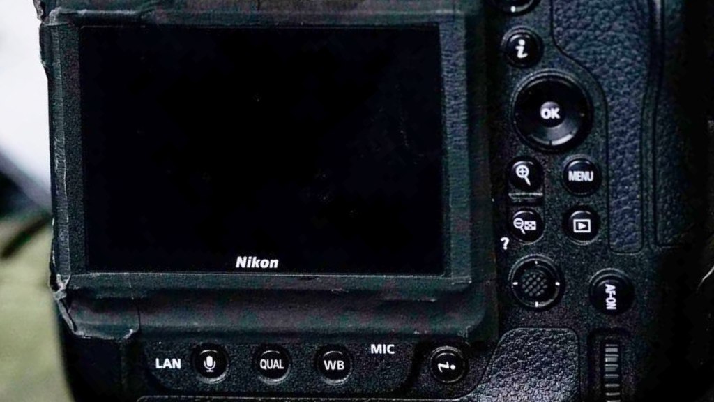 Nikon Z 9 : Image : Photolari
