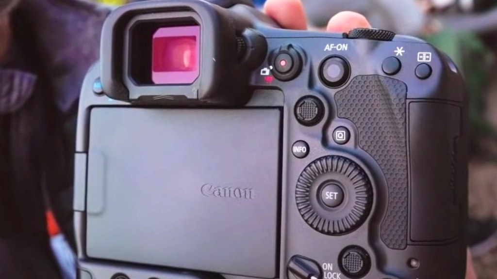 L'interface arrière du Canon EOS R3.  Photo : Gianluca Bocci