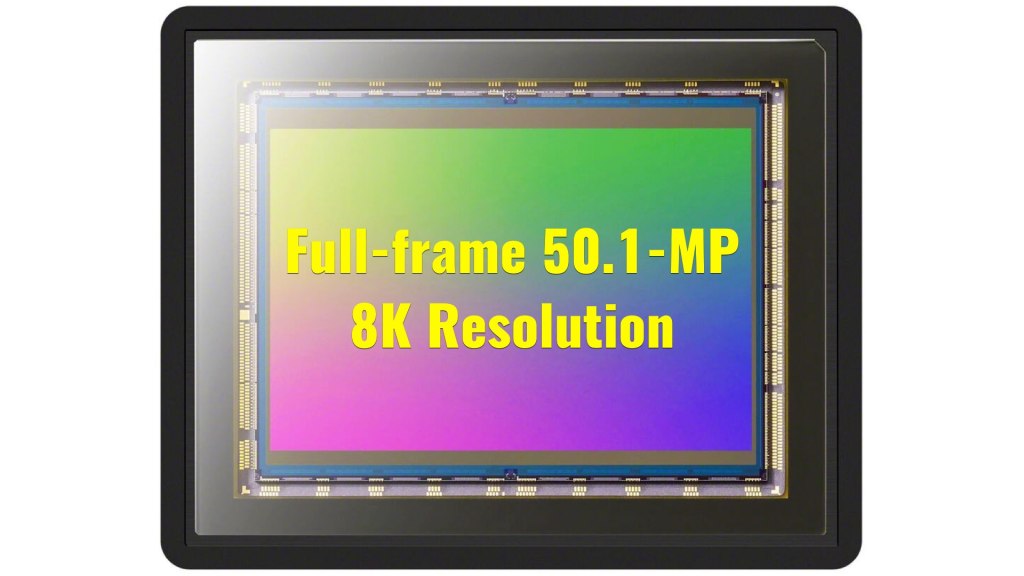 Le capteur Sony Alpha 1 : 50,1 MP plein format et résolution 8K
