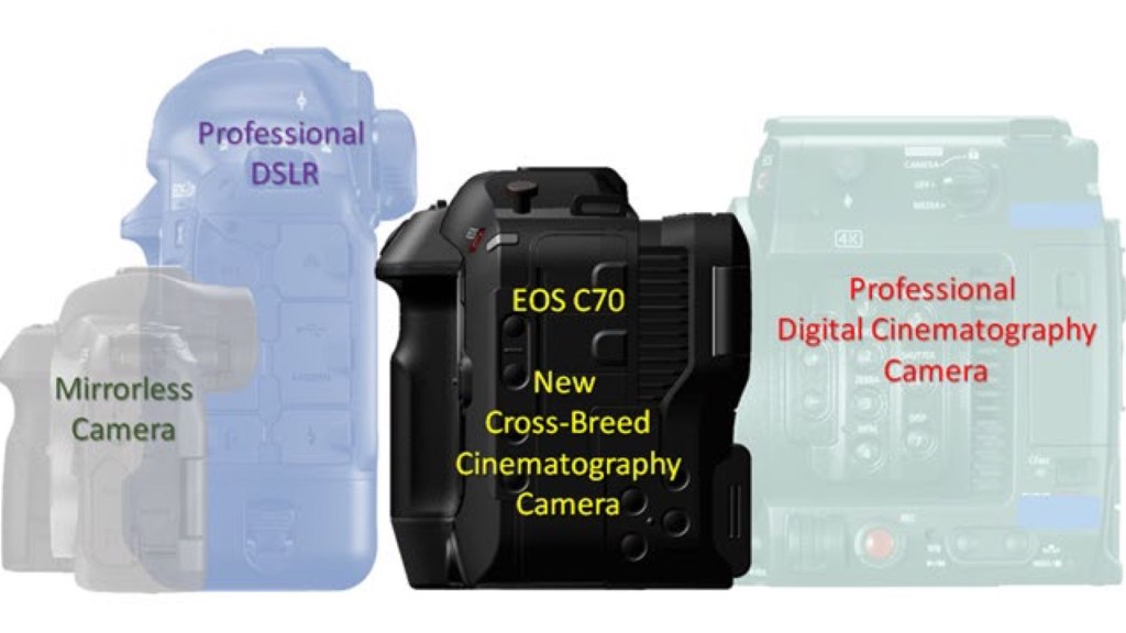C70 est une combinaison entre Cinema EOS (« Professional Digital Cinematography Camera »), « Professional DSLR (1D X Mark III) et sans miroir.