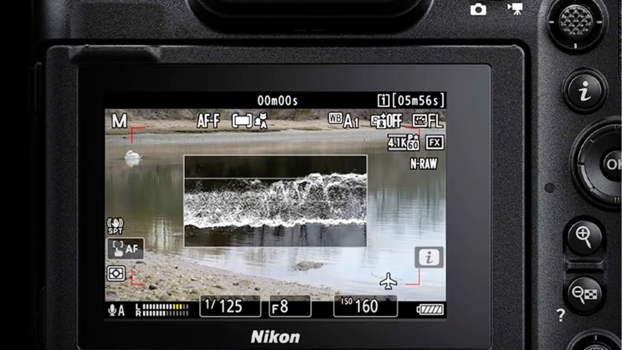 Nikon Z9 : Formes d'onde